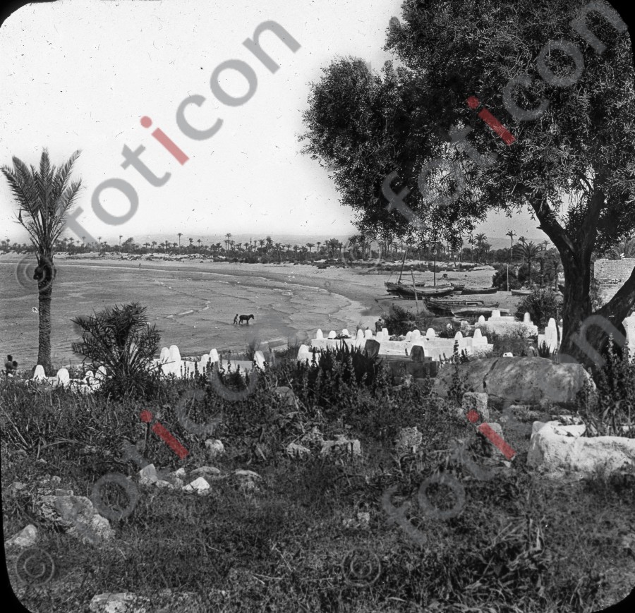 Die Haifa-Bucht | The Haifa Bay - Foto foticon-simon-129-004-sw.jpg | foticon.de - Bilddatenbank für Motive aus Geschichte und Kultur